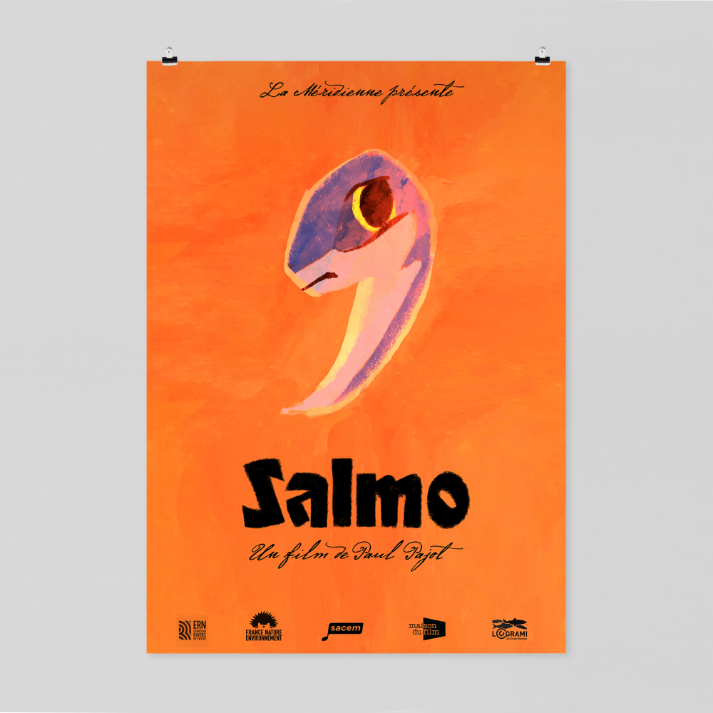 Salmo-8