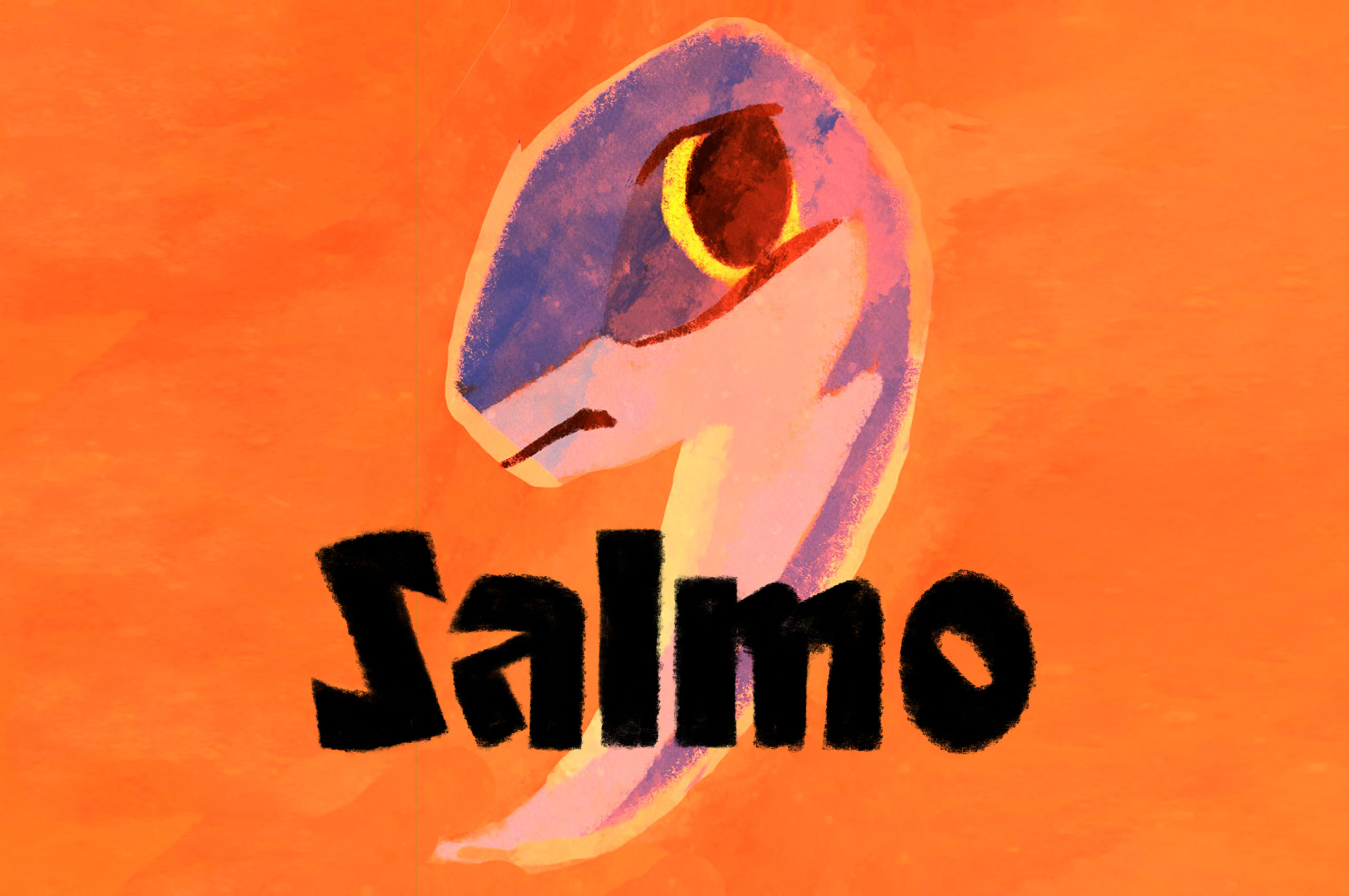 Salmo-film-banner-1