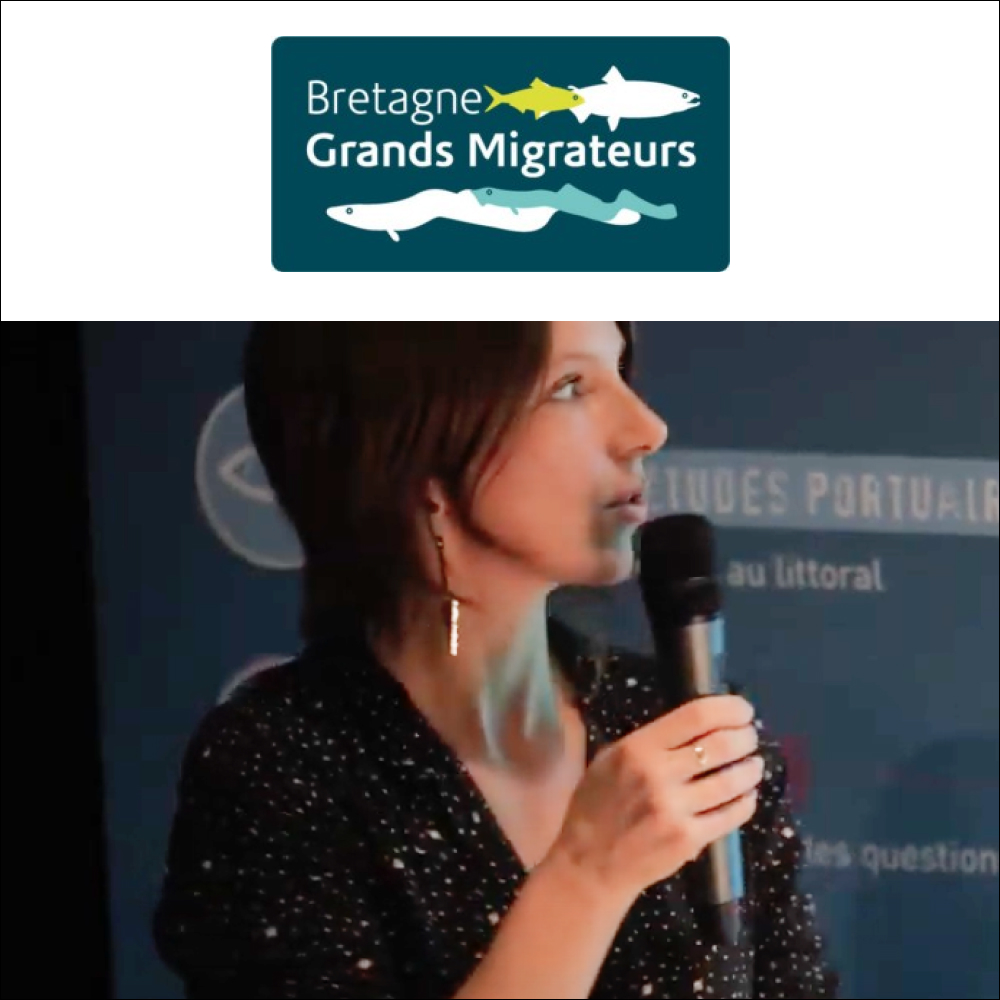 Bretagne-Grand-Migrateur-Gaelle-Germis